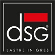 Dsg